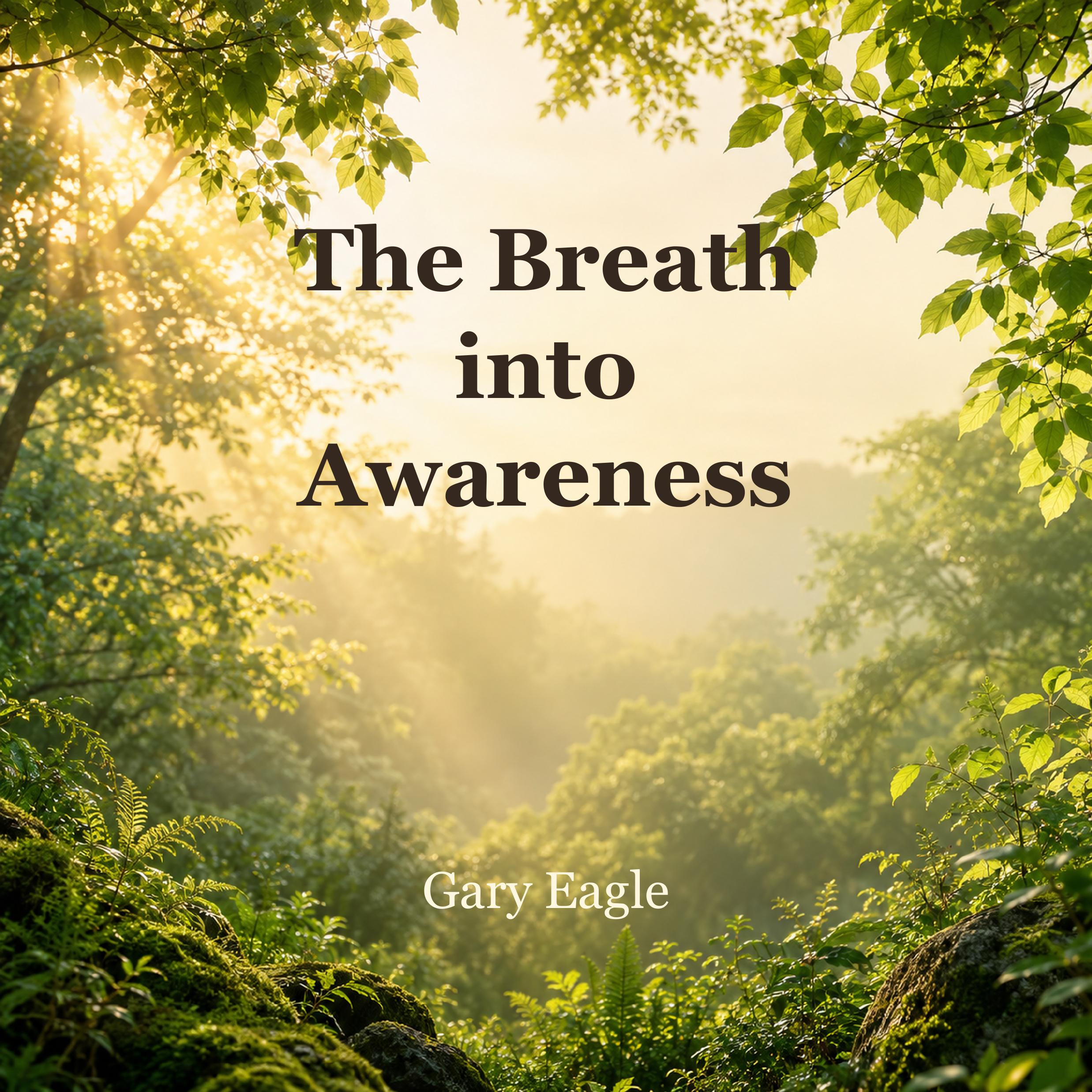 The Breath into Awareness book cover by Gary Eagle